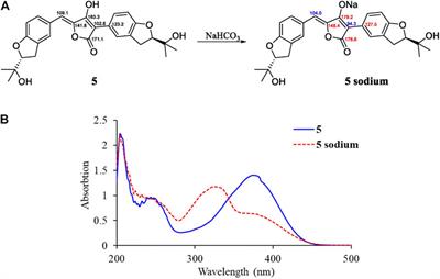 Aspulvinones Suppress Postprandial Hyperglycemia as Potent α-Glucosidase Inhibitors From Aspergillus terreus ASM-1